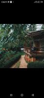 Lushoto Pazuri - B&B Makungulu