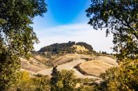 Appartamento in casale con piscina Casa I Pavoni - B&B Chianni