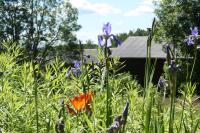 Charming 6 bedroom House & Horse Farm - Sleeps 12 - Chambres d’hôtes Horndal