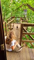 Vale da Silva Villas - Quinta - Bed and Breakfast Albergaria-a-Velha