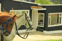 Glamping Caliza La Calera - B&B La Calera