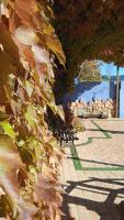 El Quinto Pino Riópar - B&B