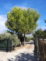 Casa rural miralmonte - Bed and Breakfast Moratalla