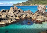 4 Bedroom modern house opposite Wallis Lake - B&B Forster