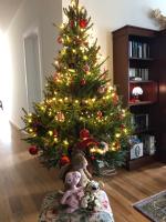 Quintinha de Palmyra - Ferienwohnung Camacha