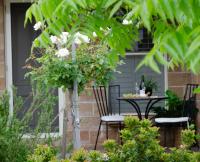 Bartletts Corner - Private Peaceful Studio - B&B