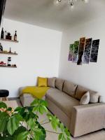 Apartament Raluca - Ferienwohnung Topliţa