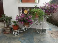 Peace Home Apartment Swayambhu - Bed and Breakfast Kathmandu