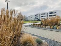 2Zi-Ferienwohnung am Südstrand mit eigenem Parkplatz perfekt für Familie - B&B