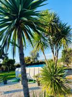 Quinta de Areias - B&B Crespos