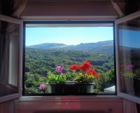 Vista Estrelada - B&B Requeixo