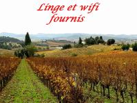 B&B Limoux - La Languedocienne appartement climatisé centre ville wifi inclus - Bed and Breakfast Limoux