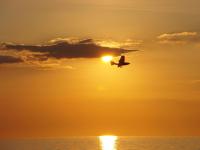 Ferienwohnung KWi 83 OG "Namenlos" - B&B Seeheilbad Graal-Müritz