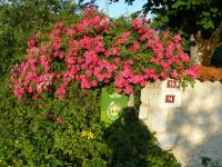 Gîte Rural Charentais - B&B