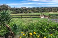 B&B Wimberley - Miller's Dream on the Blanco - Bed and Breakfast Wimberley