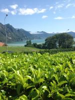 Villa Mirella: Casa vista lago con piscina - Bed and Breakfast