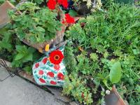 Apartamento - Planta baja