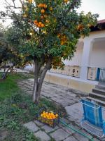 Chateau Sukaj - B&B