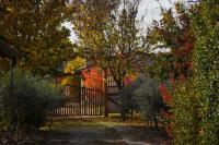 Agriturismo Corte Benetti - Bed and Breakfast