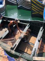 Appartement Maroc Safi - B&B Safi