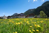 Preindlerhof Farmhouse - Chambres d’hôtes