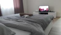 Apartman Pavlovic - Ferienwohnung Leskovac