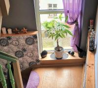 Pension Schmatka Matka - B&B Eisleben Lutherstadt