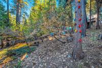 Cabin In The Woods - Bed and Breakfast Arnold