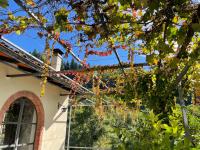 La Limonaia di Casagrande - B&B Barga