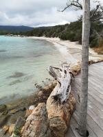 Residence Cala Sultana -Baie Santa Giulia - rez jardin 1ere ligne - Chambres d'hôtes Porto-Vecchio
