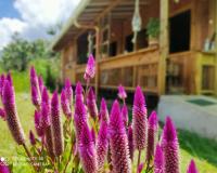 Cabañas Villa Juliana - Bed and Breakfast Jardin