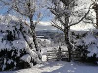 Wetlinowo - B&B Wetlina