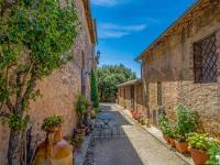 B&B Cetinale - Apartment L'Agrifoglio by Interhome - Bed and Breakfast Cetinale