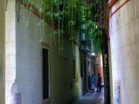 Calle verde 9 - B&B