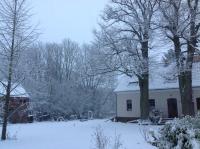 Apartment with Garden View