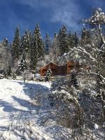 Privatna Sadiba Chalet - B&B Oriavchyk