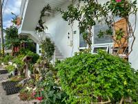 Huatian Yilu - B&B Xiulin