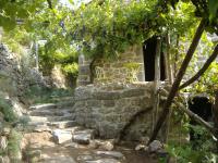 Double Room - "Vinum Follis -1"