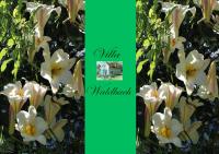 Ferienwohnung am Wörthersee Villa Waldbach - B&B Krumpendorf