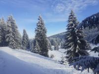 Haus mit 3 Schlafzimmern