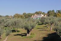 Villa Stauder - B&B Genzano di Roma