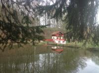 Gite du creux de la goutte - B&B Xertigny