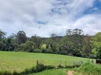 Bellingen Guest Suite with Forest Views - Ferienwohnung