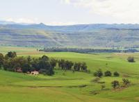 Fairbairn Guest Farm - B&B Maclear