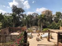 Lovely gorgeous apartment among green Maadi - B&B
