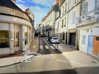 "Le Noeud vert" Appartement sur le thème de Nevers, 65 m2 en coeur de ville avec parking, accès inclus à salle de sport de 2000m2, Sauna & Hammam, by PRIMO C0NCIERGERIE - B&B