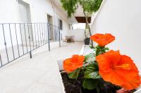 B&B San Pietro in Bevagna - B&B Macchia Mediterranea - Bed and Breakfast San Pietro in Bevagna