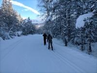 Haus mit 1 Schlafzimmer