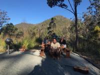 Gulkula2 Wildlife Retreat - Bed and Breakfast Garden Island Creek