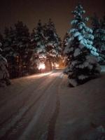 Apartman pogled Zlatibor - Chambres d’hôtes